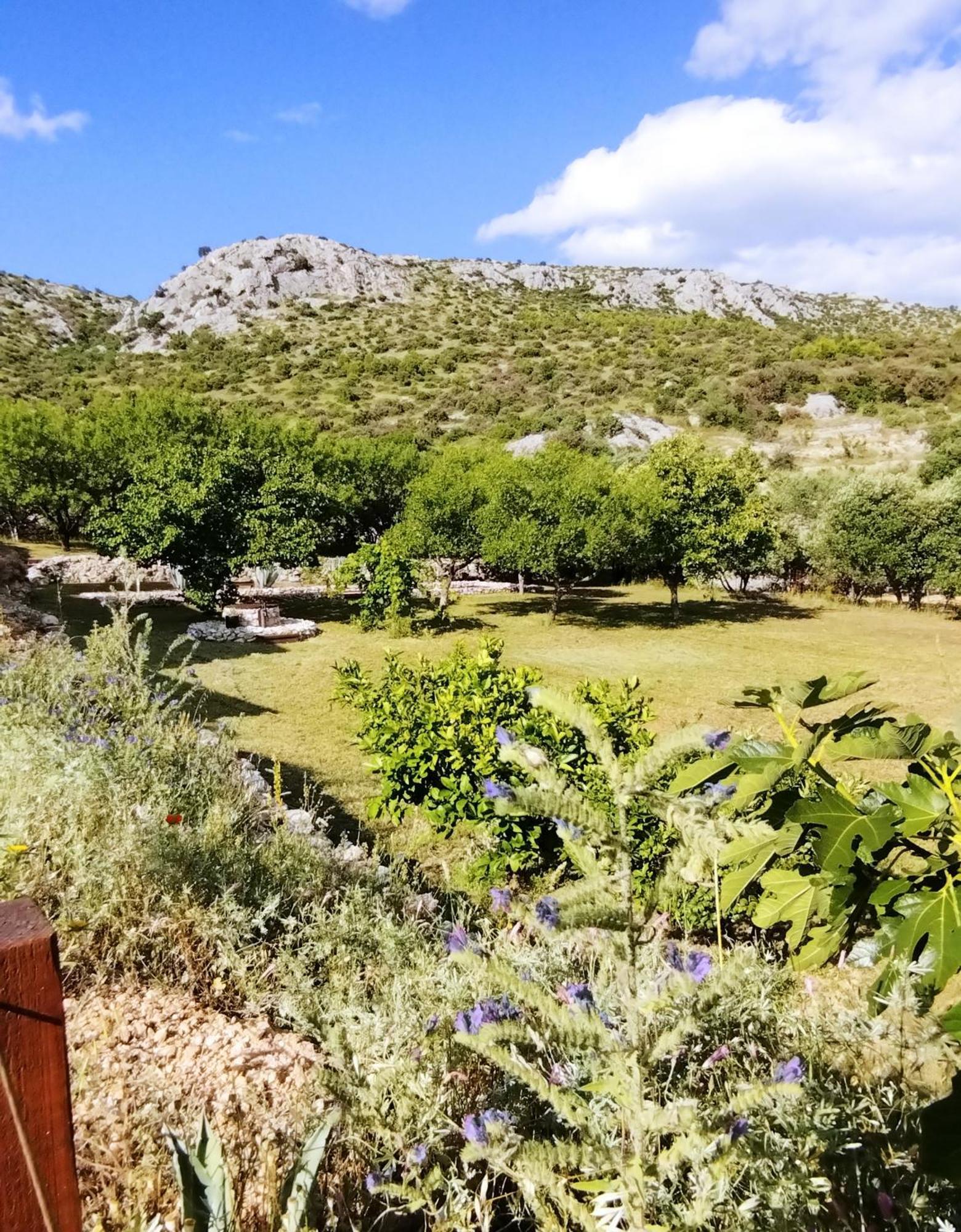 הוילה שיבניק The Garden Of Elais מראה חיצוני תמונה